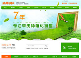 廣州榮興草場(chǎng)-專(zhuān)業(yè)草坪種植基地